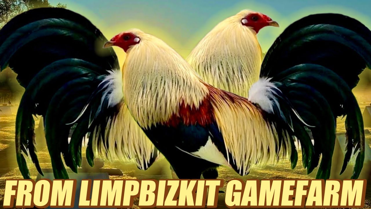 Greys Doc Hatch Robinson - FROK LIMPBIZKIT GAMEFARM