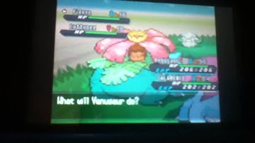 How to catch Eevee in Black 2/White 2