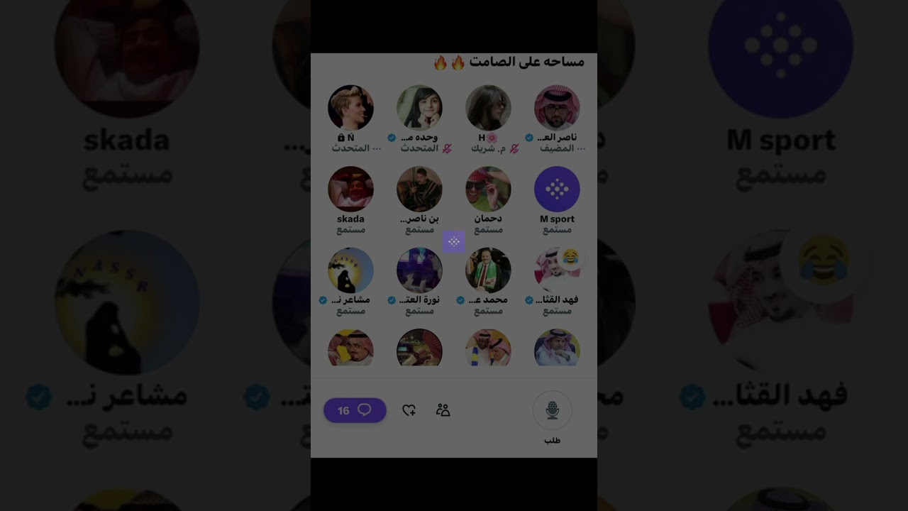 مساحة ناصر العرجاني: على الصامت