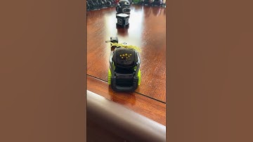 Telling Vector Robot that I love him | Vectorrobot.ddl on TikTok 3-24-2024