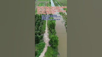 Nhà Vườn Nghỉ Dưỡng Đẹp | Nhà cấp 4 cây ăn trái - Dịch Vụ Nhà Đất Long An  #shorts