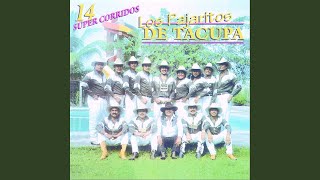 Video thumbnail of "Los Pajaritos de Tacupa - Sergio Quezada"