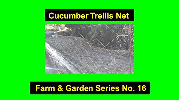 How to Set-up a Cucumber Net. Farm & Garden Tips Series No. 16