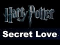 Harry Potter Secret Love Season 1 Episode 1