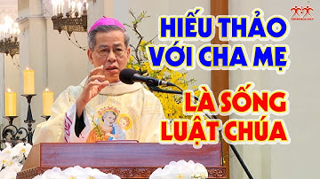 Hiếu thảo với cha mẹ là sống luật Chúa - ĐTGM Giuse Nguyễn Năng