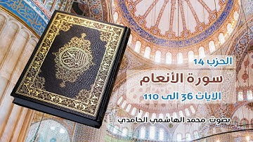 الحزب 14 من القرآن الكريم ـ  بصوت: محمد الهاشمي الحامدي