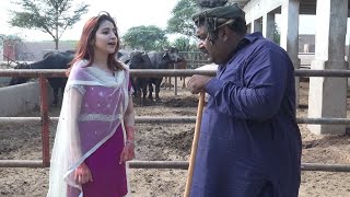 Numberdar Farm Walo Ki Gaon Bich D Rocket Makhu New Top Funny Punjabi Comedy Video Chal Tv