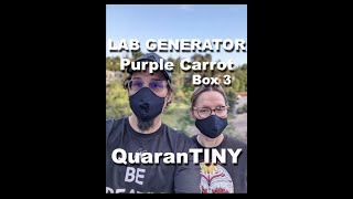 Purple Carrot Review Box #3 by Lab Generator 16 views 3 years ago 10 minutes, 12 seconds