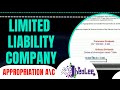 Limited Liability Company Financial Statement | Appropriation A/c | Balance Sheet | January 2012 #6