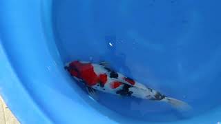2311012