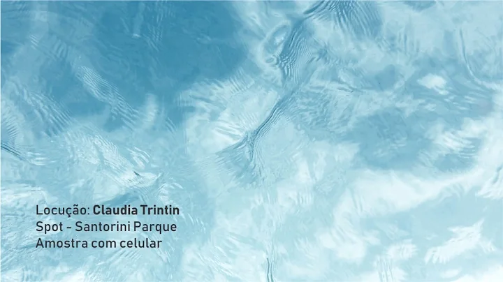 Claudia Trintin Portfolio