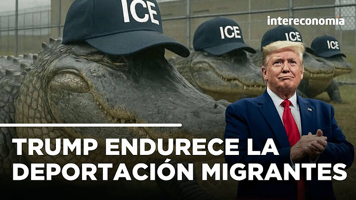 Aligator Alcatraz, la cárcel con caimanes de Trump para la migración | VISTAZO INTERNACIONAL