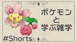 シャーレちゃんねる Youtube