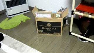 PC180018.AVI