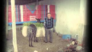 Çorum Sungurlu Yörüklü Köyü