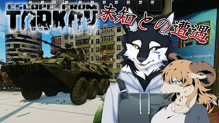【EFT】学びのアルコフ Live配信 #eft #EscapefromTarkov #ケモノ系Vtuber #Vtuber