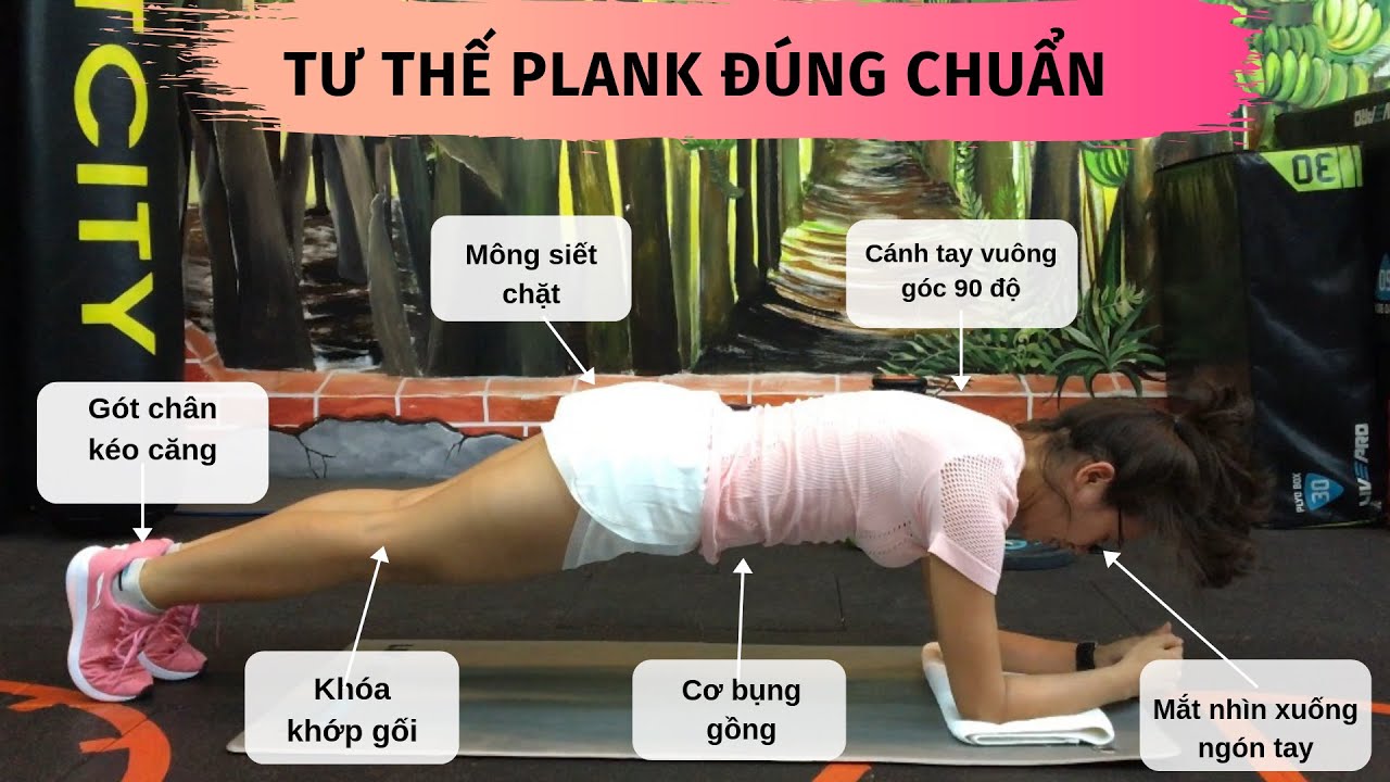 Plank Cơ Bản Đúng Kỹ Thuật | Plank đốt mỡ giảm cân 