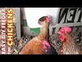 CHEAP & EASY DIY BULK Chicken Feeder