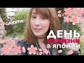 День из жизни в Японии. Цветение сакуры и день рождения Сомэ