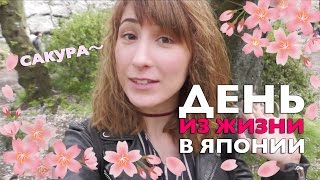 День из жизни в Японии. Цветение сакуры и день рождения Сомэ