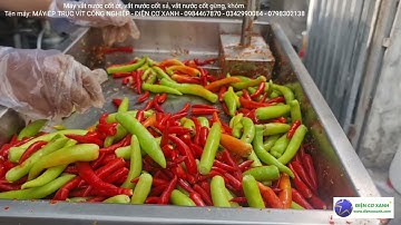 Máy vắt nước cốt ớt nguyên chất, vắt nước cốt gừng, sả, khóm - Điện Cơ Xanh - 0984467870