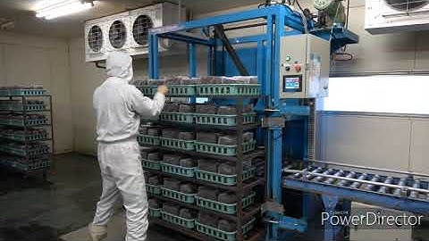 Automatic tray unloading machine