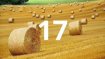 17 Second Countdown Timer With Alarm Sound At the End(Simple Beep)