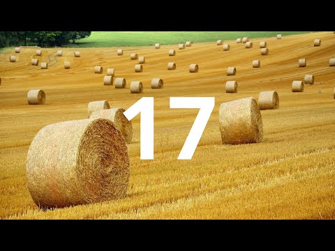 17 Second Countdown Timer With Alarm Sound At the End(Simple Beep)
