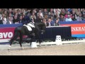 Glock's Toto JR. : Totilas X Desperados X Rotspon KWPN Den Bosch 2016