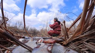 НА ВСЕХ КРЮЧКАХ. ГОЛОДНЫЙ КОСЯК РЫБЫ НА ТОМ БЕРЕГУ. Весенняя рыбалка на поплавочную и донную удочку.