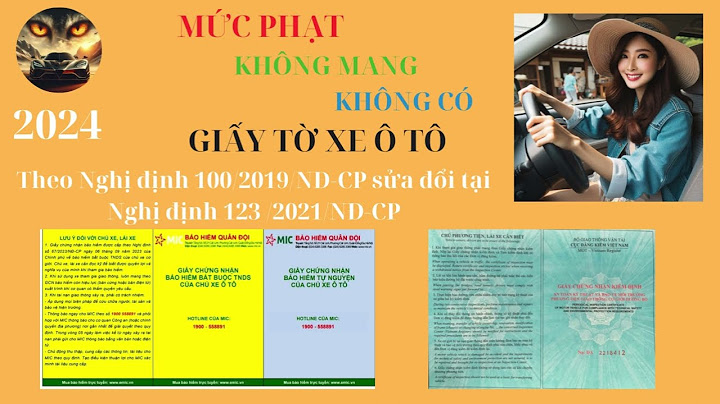 Lỗi không mang giấy tờ xe oto phạt bao nhiêu năm 2024