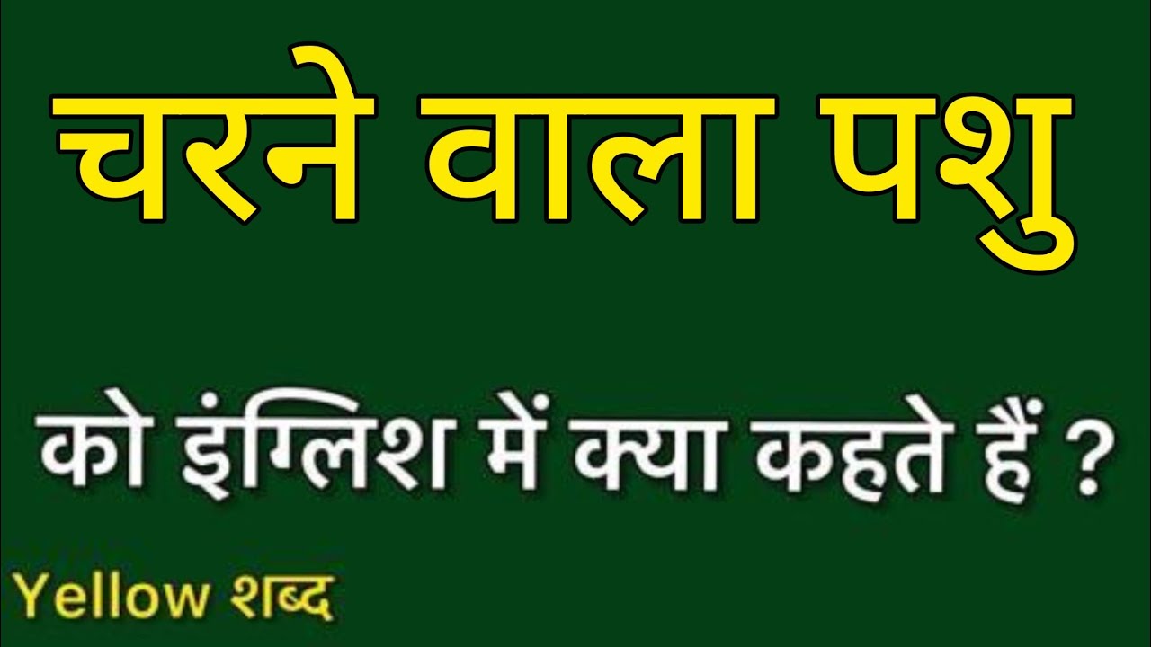 चरने वाला पशु को इंग्लिश में क्या कहते हैं / चरने वाला पशु का मतलब क्या होता है