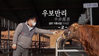 [다큐 3일] 우보만리(牛步萬里) - 공주 가축시장 72시간 2편 / KBS 20210208 방송