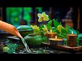 Beautiful Relaxing Music - Stop Overthinking, Stress Relief Music, Sleep Music, Calming Music,Nature