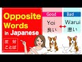 Opposite Words in Japanese🇯🇵Easy-Difficult, Clean- Dirty, High-Low, Early-Late, Same-Different etc