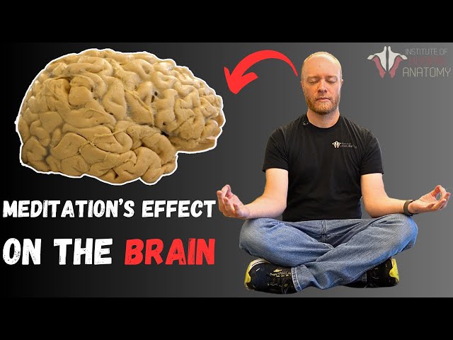 Science of Meditation: Brain Waves 101 class=