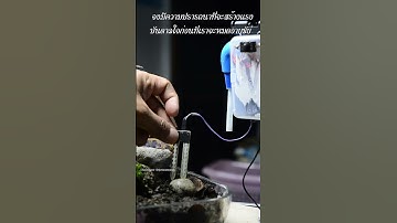 ระบบให้น้ำออโต้แบบวัดความชื้นของดิน