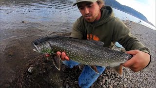 Trout Catch n' Cook! + Big Lake Trout (Fish n' Chips)