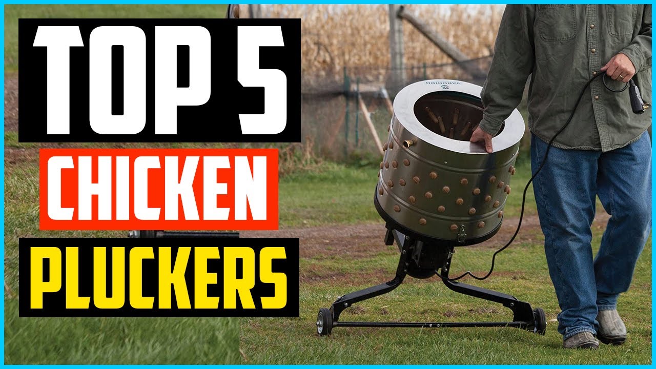 Top 5 Best Stainless Steel Chicken Pluckers in 2024 - YouTube