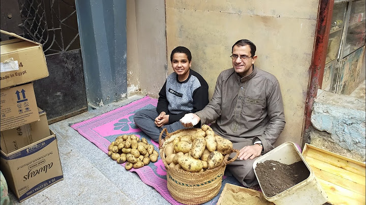 طريقة الاصليه لتخزين البطاطس من زمان الزمان  بدون متضرب ولا تسوس