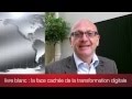 Fr livre blanc  la face cache de la transformation digitale  visionary marketing 