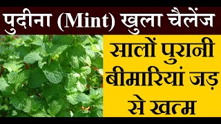 पुदीने के चमत्कारी फायदे | Pudina ke fayde | Benefits of Mint Leaves in Hindi | Knowledge Sathi