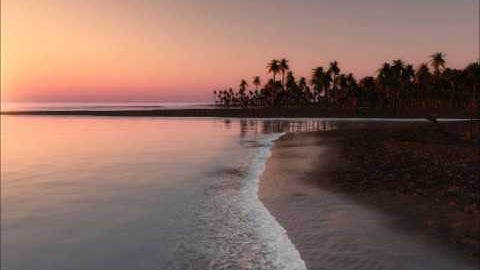 الشيخ علاء المزجاجي - سوره الصف