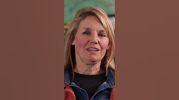 How to Plan the LOOK of Your YouTube Channel