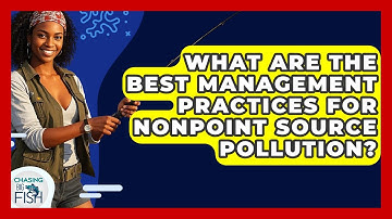 What Are The Best Management Practices For Nonpoint Source Pollution? - Chasing Big Fish
