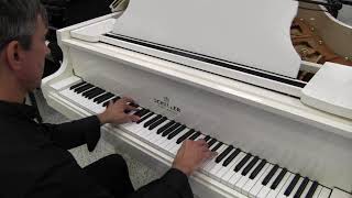 SCHILLER IMPERIAL GRAND PIANO WHITE POLISH