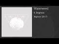 Waterweed - Brightest