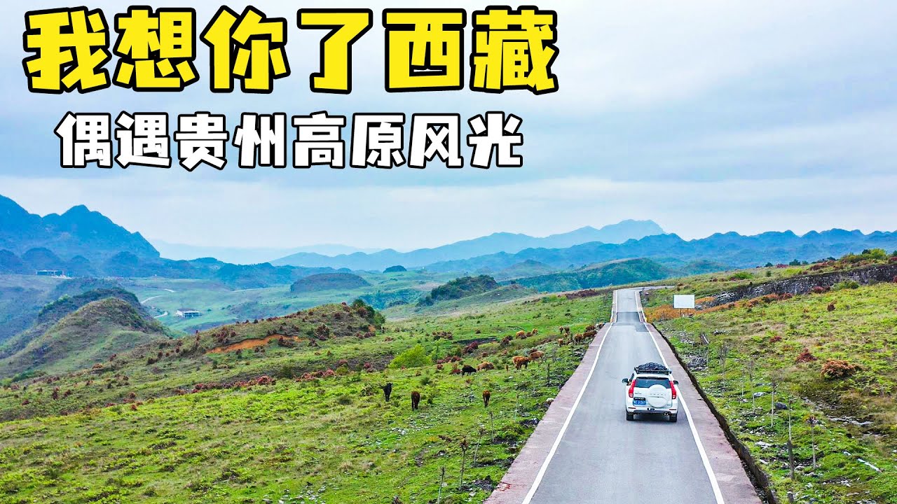 两年多没去西藏了，偶遇贵州的高原风光，却让我以为自己来到了西藏【小白的奇幻旅行】