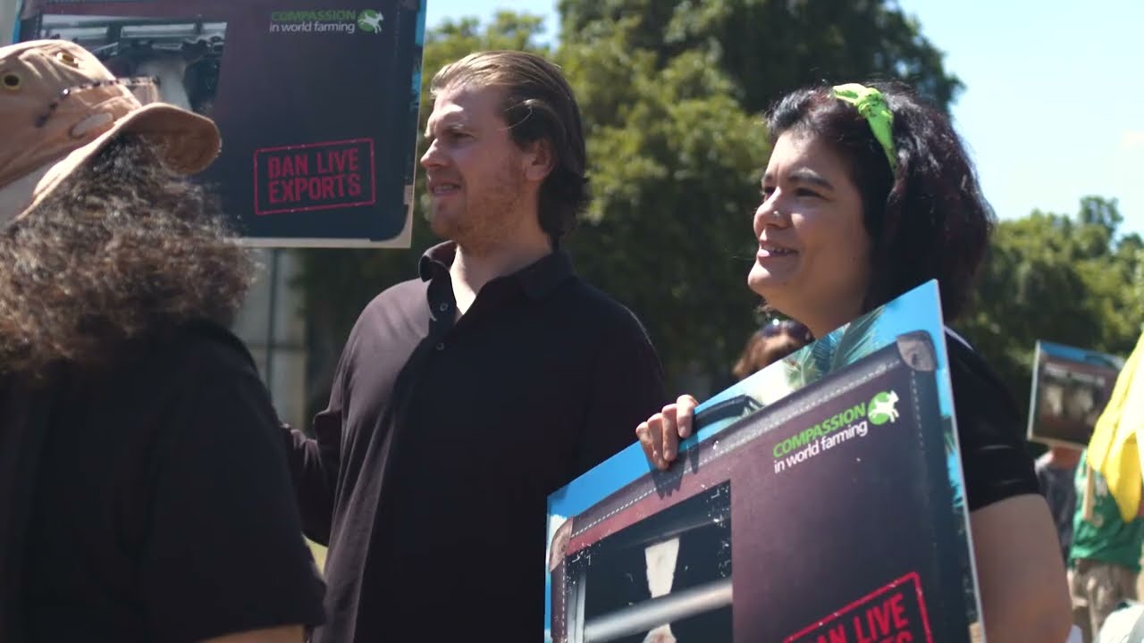 Ban Live Exports London Rally 2022