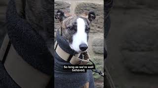 Bringing your dog to Beamish?